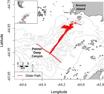 New insight into Salpa thompsoni distribution via glider-borne acoustics